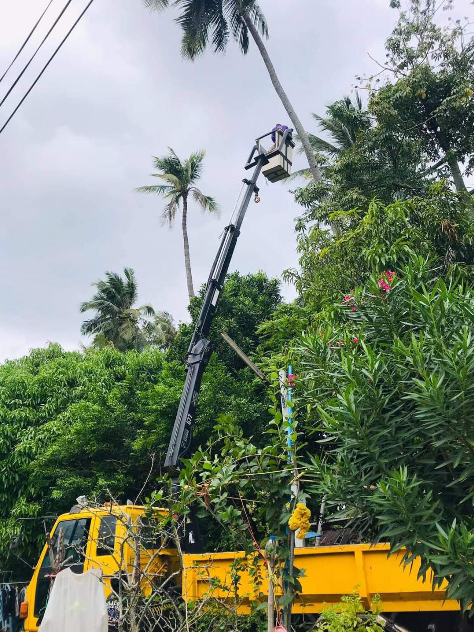 นายวิชัย อนันตเมฆ นายกเทศมนตรีตำบลปากนำ้หลังสวน ได้มอบหมายไห้นายธีรวุฒิ ประสาตร์สาน รองนายกเทศมนตรีตำบลปากนำ้หลังสวน ได้นำเจ้าหน้าที่งานป้องกันฯ มาช่วยผูกเชือกกับต้นมะพร้าวในวัดสว่างมนัส ป้องกันไม่ให้เกิดอุบัติเหตุ (5 ภาพ)