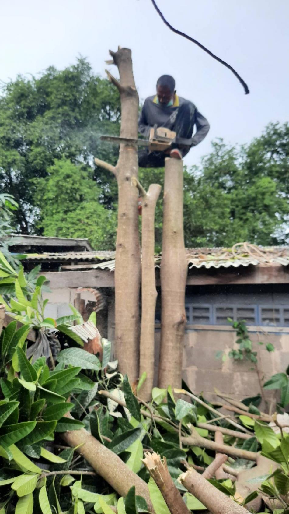 งานป้องกันและบรรเทาสาธารณภัย เทศบาลตำบลปากน้ำหลังสวน ดำเนินการตัดแต่งต้นไม้ตามคำร้องขอของประชาชน เพื่อความปลอดภัยและความเป็นระเบียบเรียบร้อย
